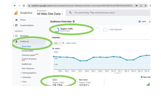 Google Analytics dashboard displaying total organic traffic.
