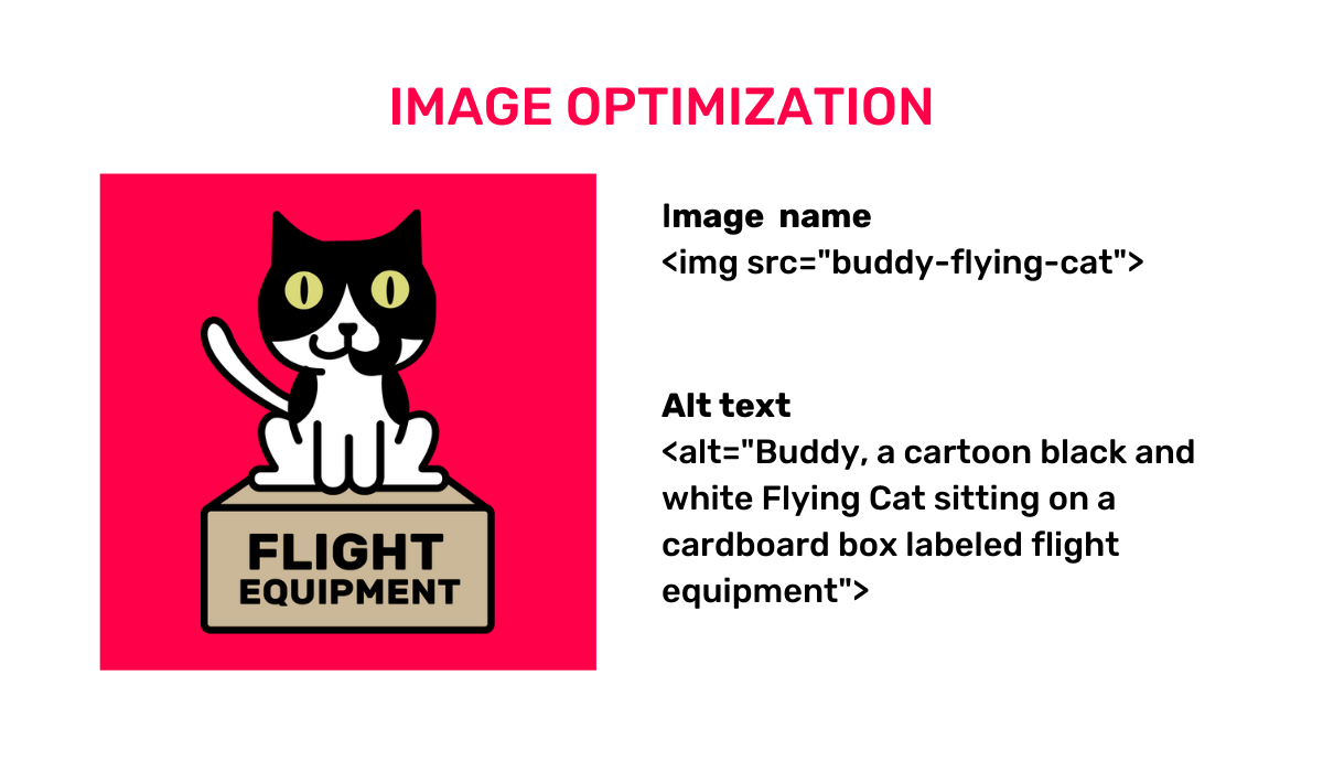 This image shows Buddy the Flying cat on the left, atop a box that is labeled 'flight equipment'. The title text reads 'image optimization' and it shows the differences between the image title label and the alt text label for an image
