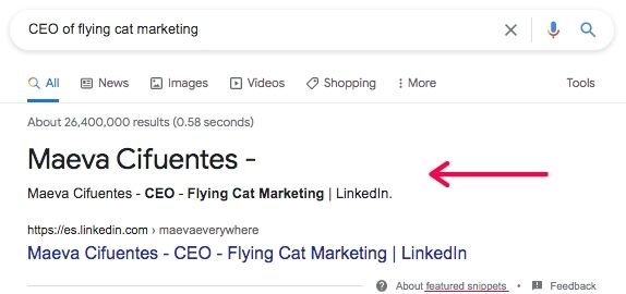 Screenshot of Google search result for Flying Cat Marketing CEO with featured snippet indicated