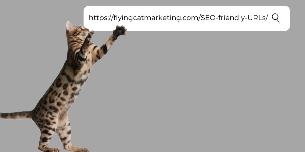 A cat jumping up to an SEO-friendly URL