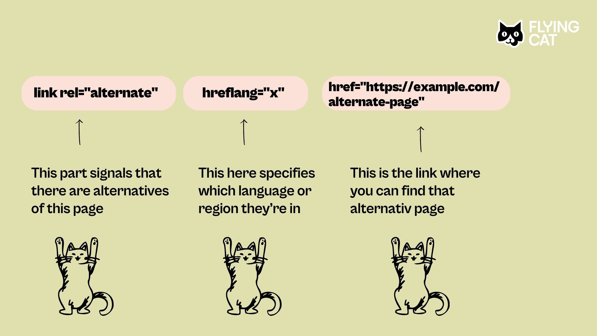 Image explaining the different sections of the hreflang tag. 