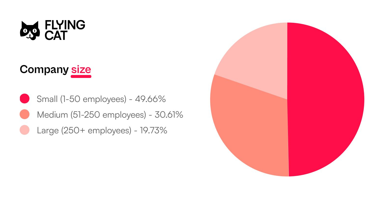 Pie chart showing company size