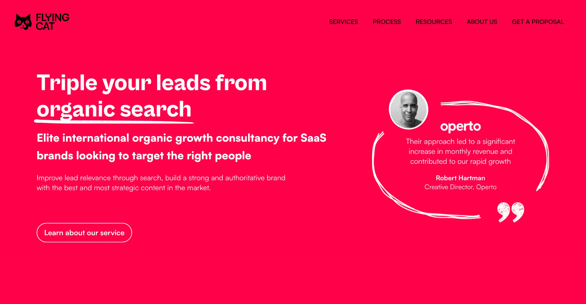 Flying Cat digital PR services overview