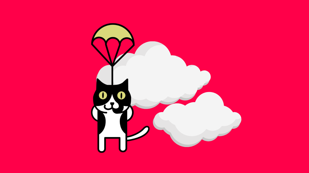 flying cat marketing