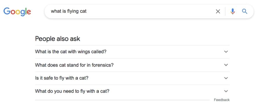 screenshot of the people also ask section of the results page for the Googled term 'what is flying cat'