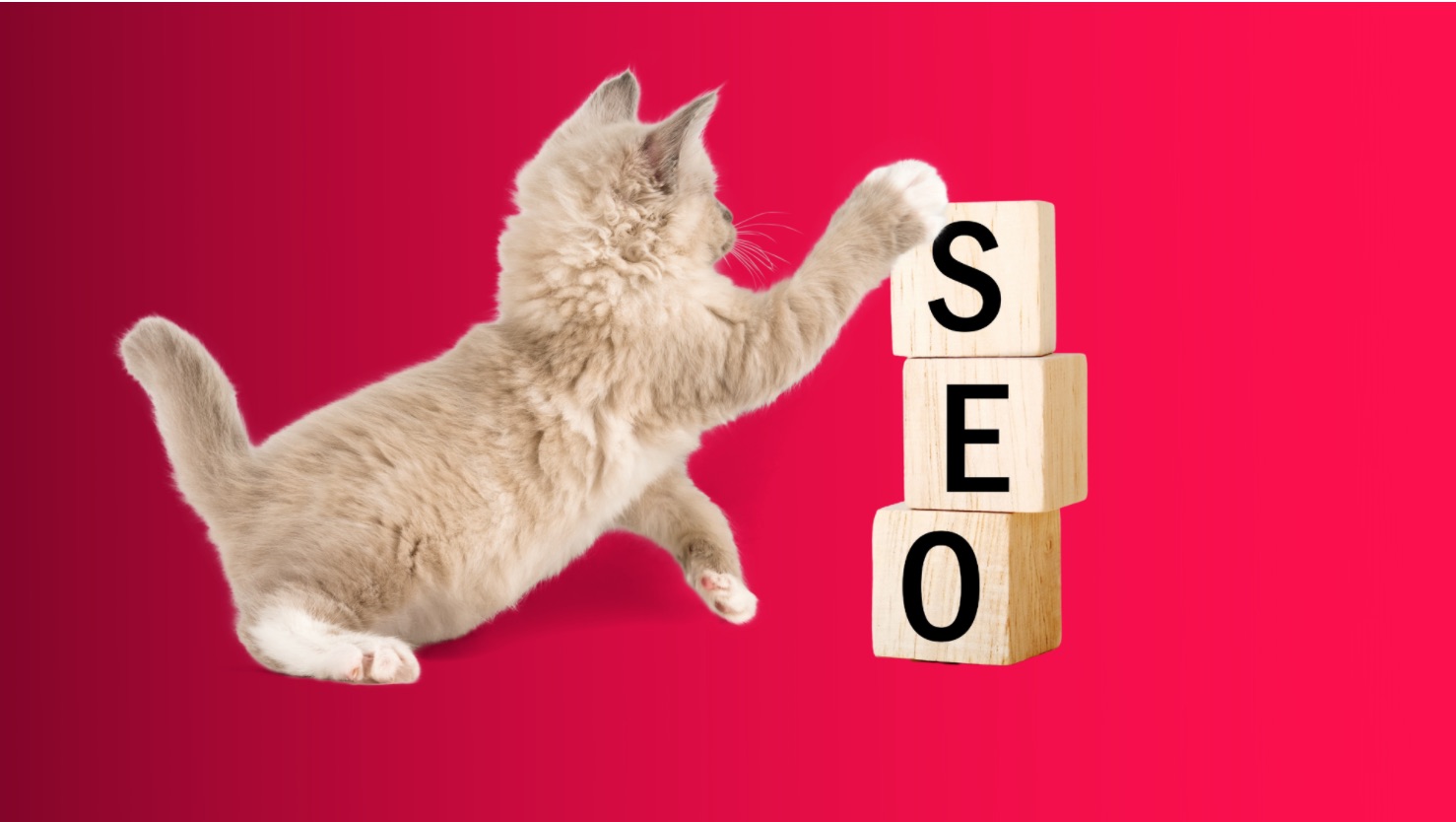 SEO Best Practices: 15 Tactics That Have Actually Worked For Experts